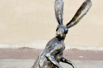 Closeup Bandit Bunny