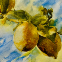 Workshop: Exciting Lemons